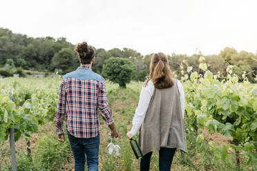 Couple holding wineglasses and wine bottle while walking at vineyard - JRFF04481