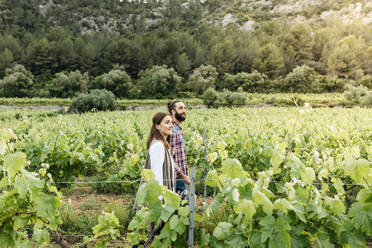 Couple walking at vineyard - JRFF04484