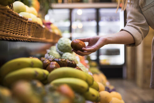 Cropped image of woman buying tomatoes at grocery store - ABZF03171