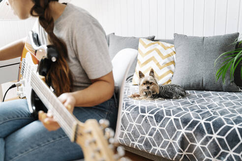 Yorkshire Terrier lying on sofa while woman playing guitar at home - JMHMF00054