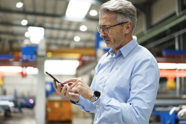 Mature businessman using tablet in a factory - MOEF02934