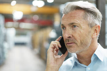 Portrait of a mature businessman on the phone in a factory - MOEF03077