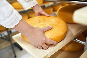 https://us.images.westend61.de/0001393333j/cheese-factory-female-worker-turning-cheese-wheel-ZEDF03424.jpg