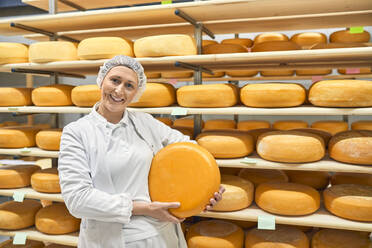 Portrait of cheese maker carrying hard cheeses - Stock Image - F023/1666 -  Science Photo Library