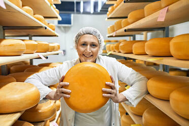 Portrait of cheese maker carrying hard cheeses - Stock Image - F023/1666 -  Science Photo Library