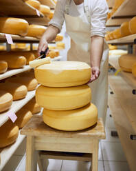 Portrait of cheese maker carrying hard cheeses - Stock Image - F023/1666 -  Science Photo Library