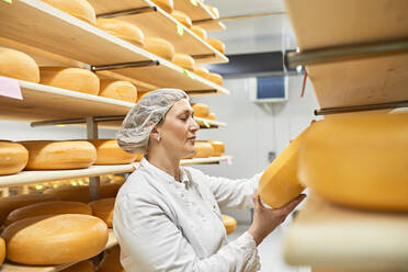 https://us.images.westend61.de/0001393359j/cheese-factory-female-worker-with-cheese-wheel-in-storeroom-ZEDF03450.jpg