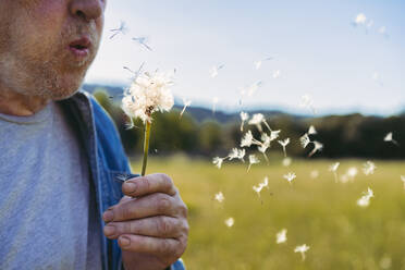 Älterer Mann bläst Pusteblume - AFVF06605