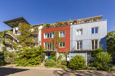 Germany, Baden-Wurttemberg, Freiburg im Breisgau, Modern suburb houses in spring - WDF06009