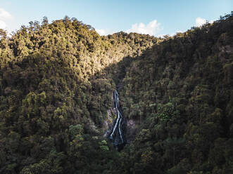 Luftaufnahme der Tranquility Falls inmitten eines Regenwaldes im nördlichen Queensland, Australien - AAEF08919