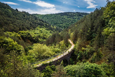 Luftaufnahme der Freski-Brücke und des Tunnels, umgeben von Bäumen in Vizintini Vrhi, Kroatien - AAEF09041