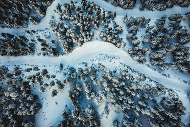 Luftaufnahme eines schneebedeckten Kiefernwaldes in Vrachni, Griechenland - AAEF09107