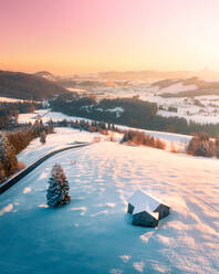 Aerial view of Raten and tradition Swiss hut, Switzerland - AAEF09123