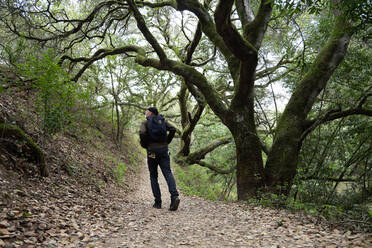 Wanderer, der auf einem baumbewachsenen Pfad in Kalifornien von der Kamera weggeht - CAVF84536