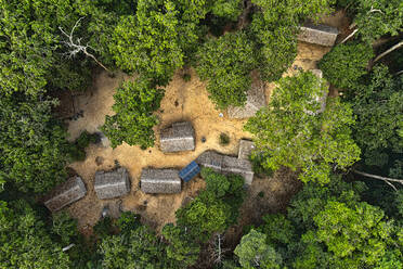 Camp für das Studium der wilden Fauna, Dzanga Sangha, Zentralafrikanische Republik - CAVF84592