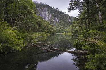 Blick auf den See inmitten des Waldes im Huerquehue-Nationalpark bei - CAVF84656