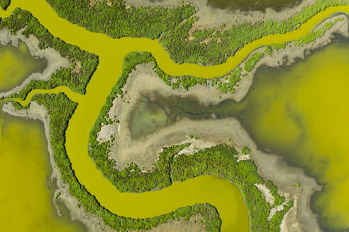 Aerial of Strange Waterways in SF Bay Marshland - CAVF84737