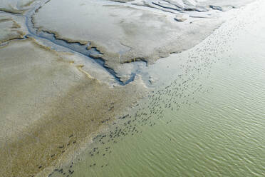 Vögel punktieren einen sonnenbeschienenen Sumpf in der Bucht von San Francisco Luftaufnahme - CAVF84756