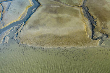 Vögel punktieren einen sonnenbeschienenen Sumpf in der Bucht von San Francisco Luftaufnahme - CAVF84757