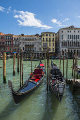 Am Canal Grande in Venedig geparkte Gondeln - CAVF84840