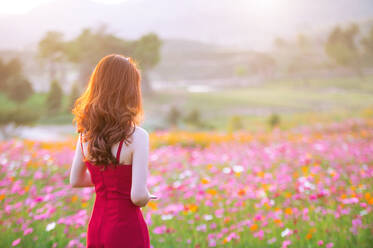 Rear View Of Woman Standing By Pink Flowers On Field - EYF05217