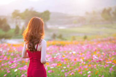 Rückansicht der Frau stehend durch rosa Blumen auf Feld - EYF05217