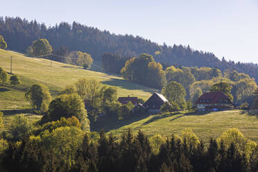 Deutschland, Baden-Württemberg, Sankt Peter, Ländliche Häuser im Schwarzwaldgebiet - WDF06029