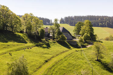 Deutschland, Baden-Württemberg, Sankt Peter, Bauernhaus im Schwarzwald im Frühling - WDF06032