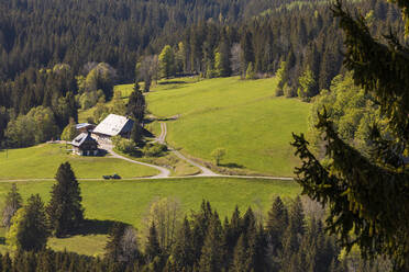 Deutschland, Baden-Württemberg, Feldberg, Einsames Bauernhaus im Schwarzwald im Frühling - WDF06035