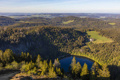 Deutschland, Baden-Württemberg, Feldberg, Blick auf den Feldsee und den umliegenden Wald - WDF06036