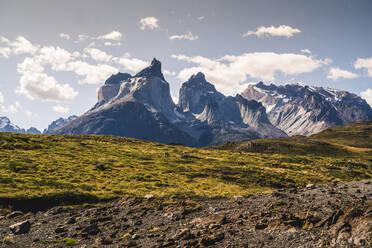 Chile, grasende Guanakos (Lama guanicoe) im Torres Del Paine National Park mit Cuernos Del Paine im Hintergrund - UUF20636