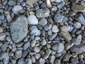 Close up of pebbles in different forms and shapes - EJWF00916