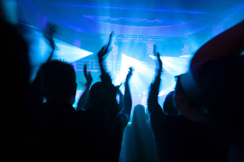 Crowd cheering during electronic music festival - NDF01069