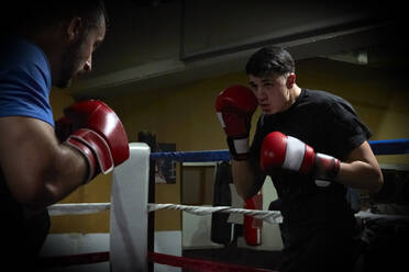 Zwei Boxer trainieren in einem Ring - CAVF84953