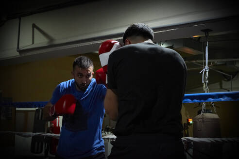 Zwei Boxer trainieren in einem Ring - CAVF84956