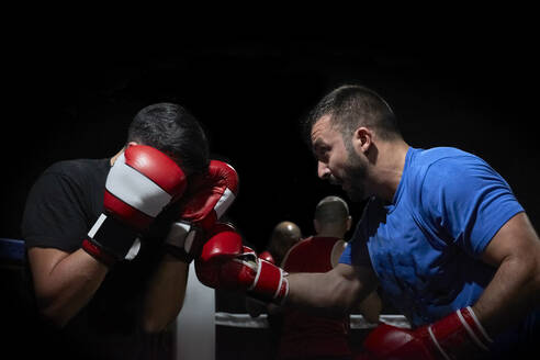 Zwei Boxer trainieren in einem Ring - CAVF84957