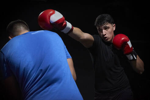 Zwei Boxer trainieren in einem Ring - CAVF84958