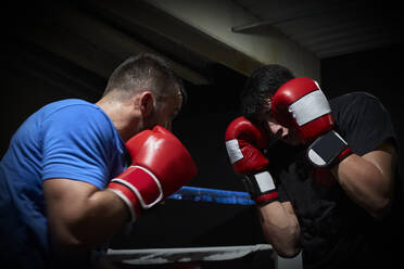 Zwei Boxer trainieren in einem Ring - CAVF84959