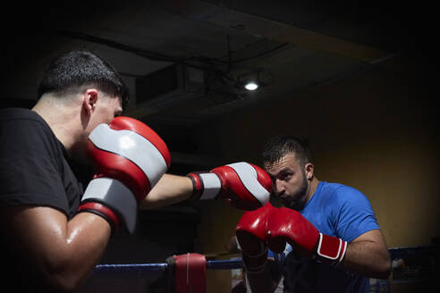 Zwei Boxer trainieren in einem Ring - CAVF84960