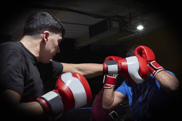 Two boxers training on a ring - CAVF84961