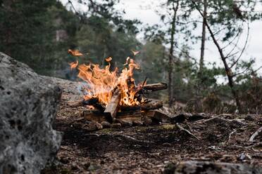 Wildes Lagerfeuer in einem Nationalpark in Schweden - CAVF84976