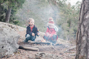 Bruder und Schwester kochen Marshmallows an einem Lagerfeuer in Schweden - CAVF84988