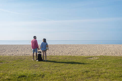Back view of couple standing and holding hands near their dog on beach stock photo