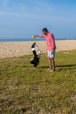 Bearded man playing with dog at beach in sunny day stock photo