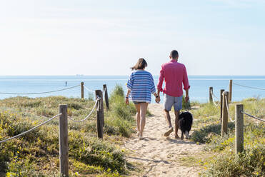 Back view of a young couple walking at beach with dog while holding hands - CAVF84998