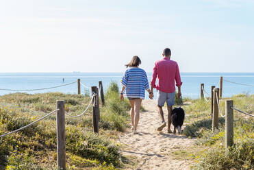 Rückenansicht eines jungen Paares, das am Strand mit einem Hund spazieren geht und dabei die Hände hält - CAVF84998