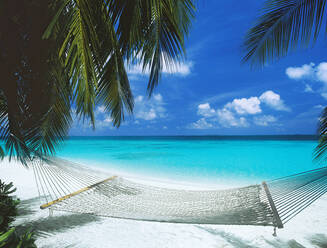 Desert island and hammock on the beach, Maldives, Indian Ocean, Asia - RHPLF15149