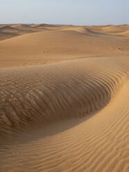 Sanddünen in der Wüste Ramlat Al Wahiba, auch bekannt als das Leere Viertel, Sultanat Oman, Naher Osten - RHPLF15196