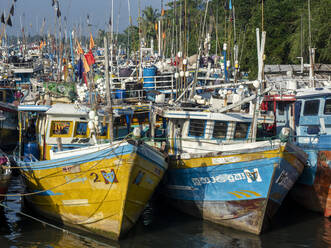 Die Fischereiflotte im Hafen in der Nähe des Fischmarktes von Negombo, Negombo, Sri Lanka, Asien - RHPLF15208