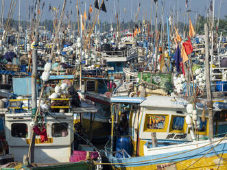 Die Fischereiflotte im Hafen in der Nähe des Fischmarktes von Negombo, Negombo, Sri Lanka, Asien - RHPLF15209